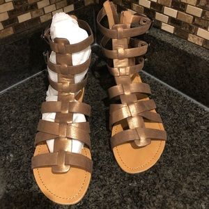 Bronze, never worn gladiator sandals.